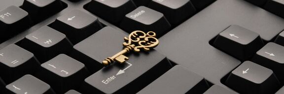 Privacy and protection with wildcard SSL certificates
